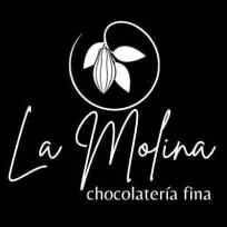 https://lamolinachocolateria.com/